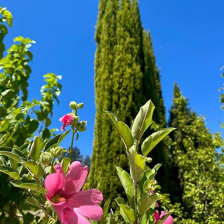 Demelida Villa In Tsada, Paphos Tsadha Eksteriør billede