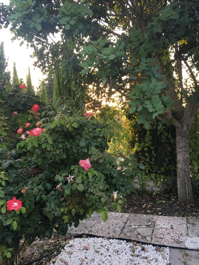 Demelida Villa In Tsada, Paphos Tsadha Eksteriør billede